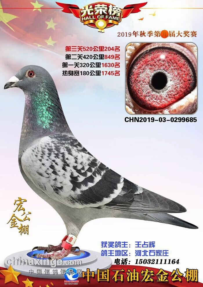 2019ӱQِ204