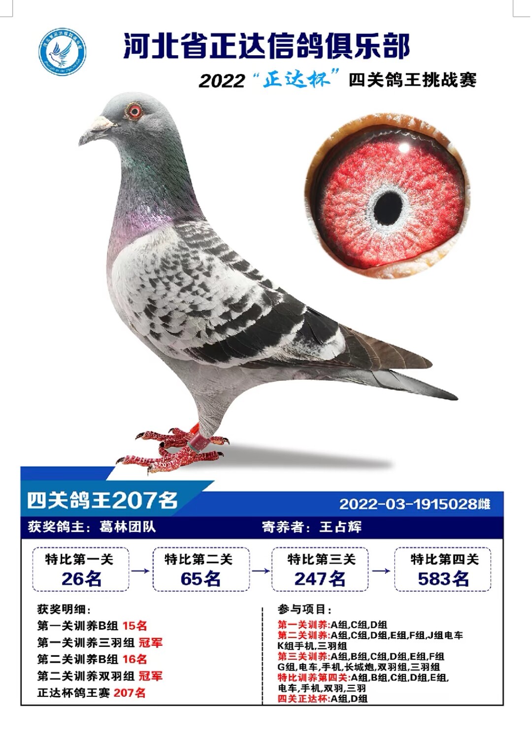 _(d)㘷P(gun)C207