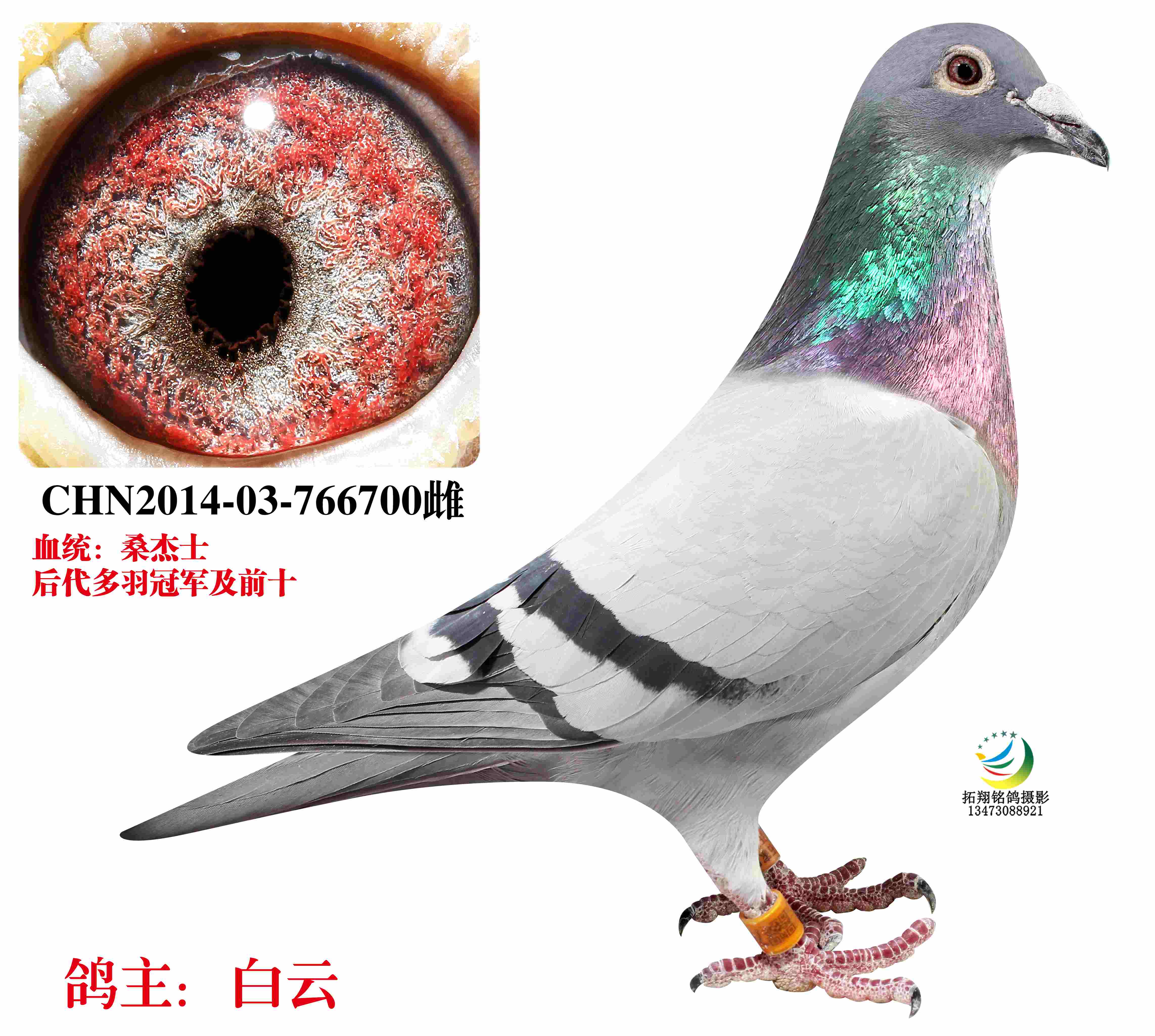 罿
