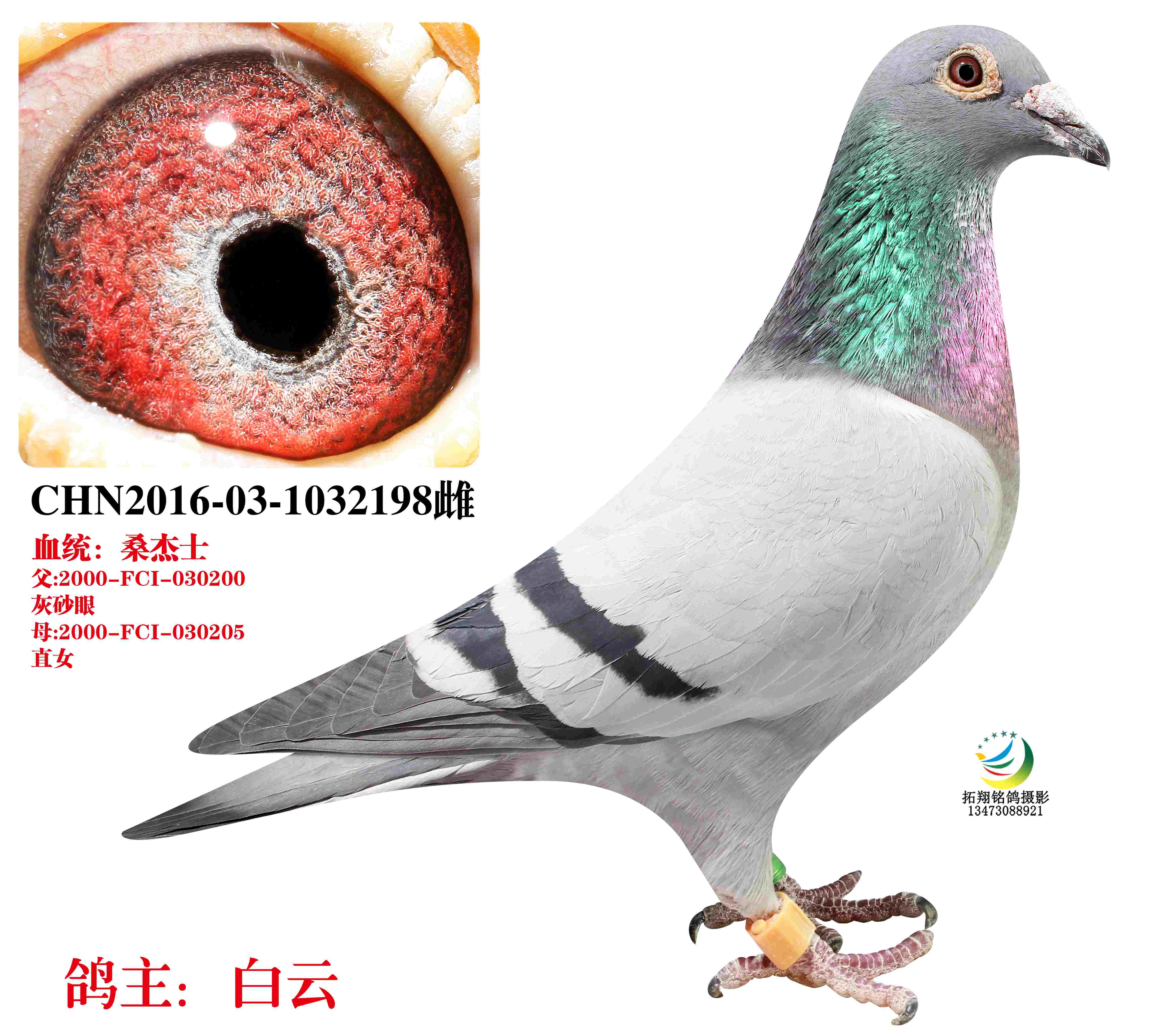 罿Ů