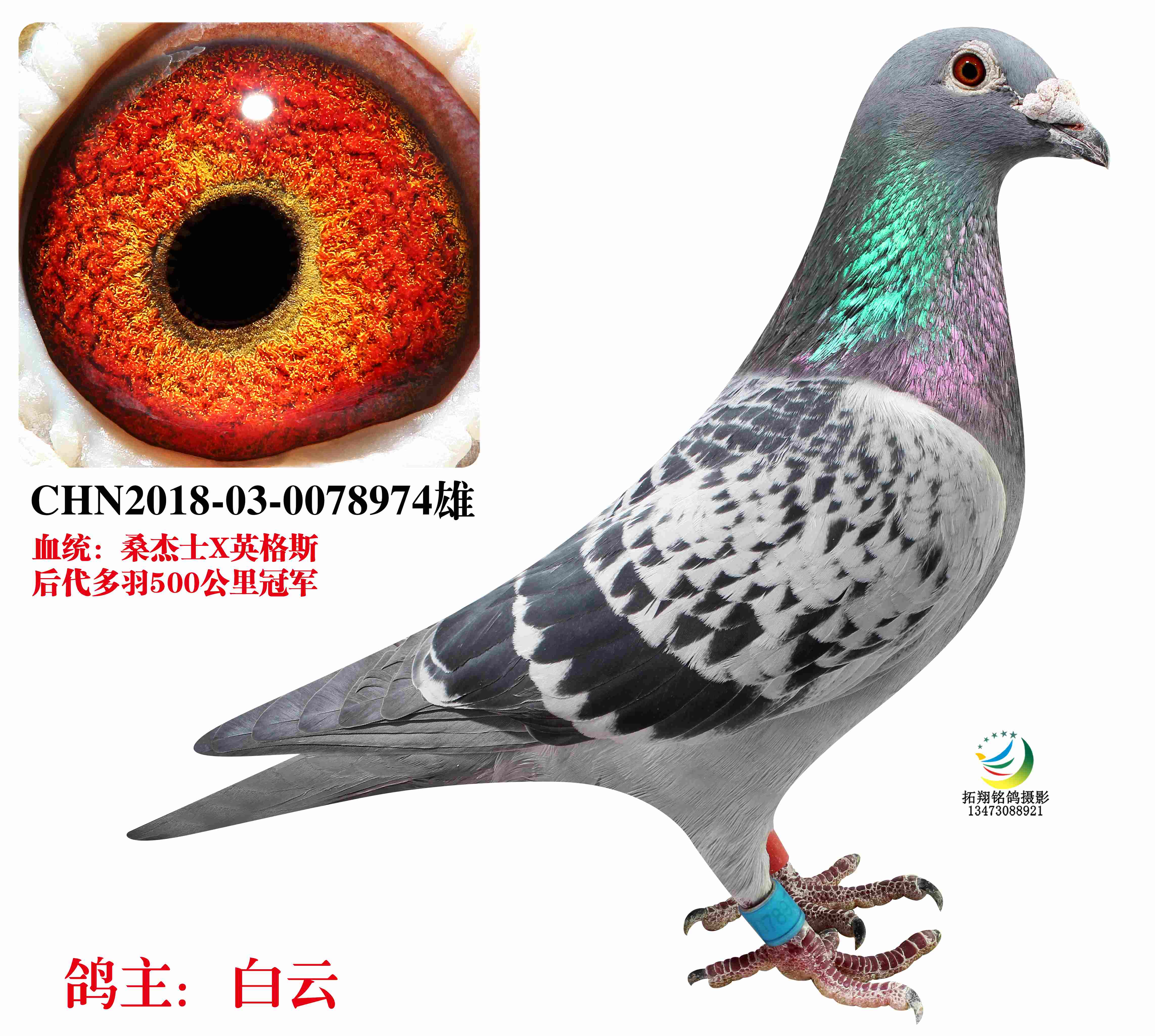 ɣʿӢ˹