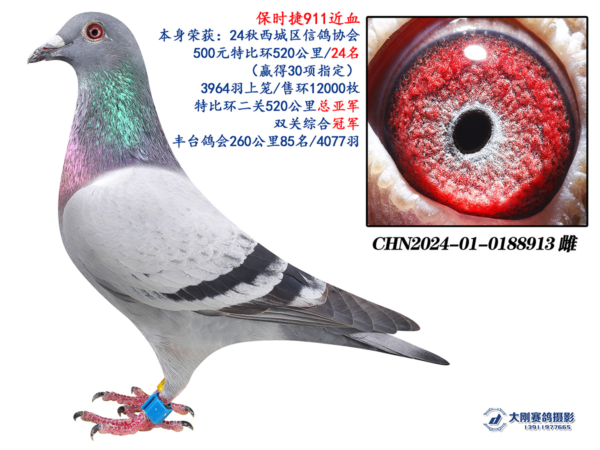 2024ﱱpP(gun)CϹ܊