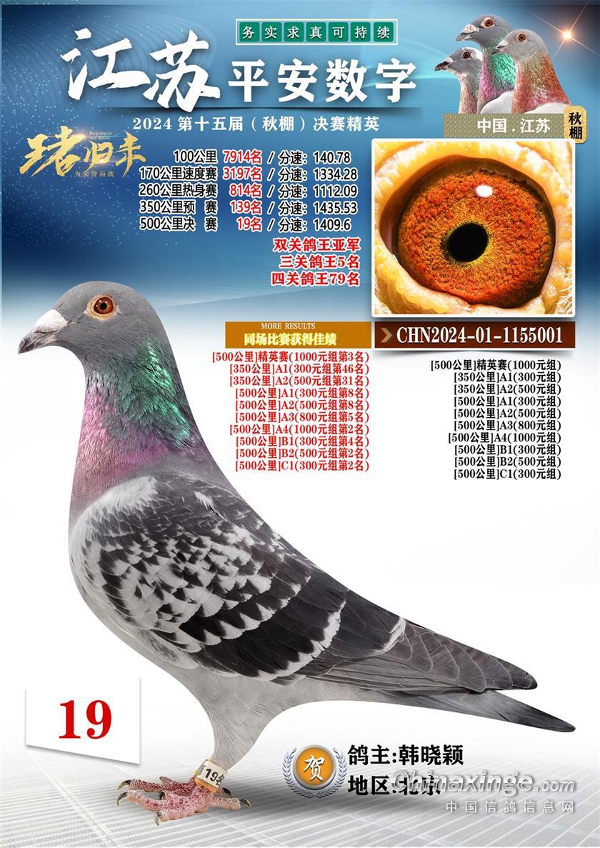 24ƽ(sh)֛Qِ19/܊