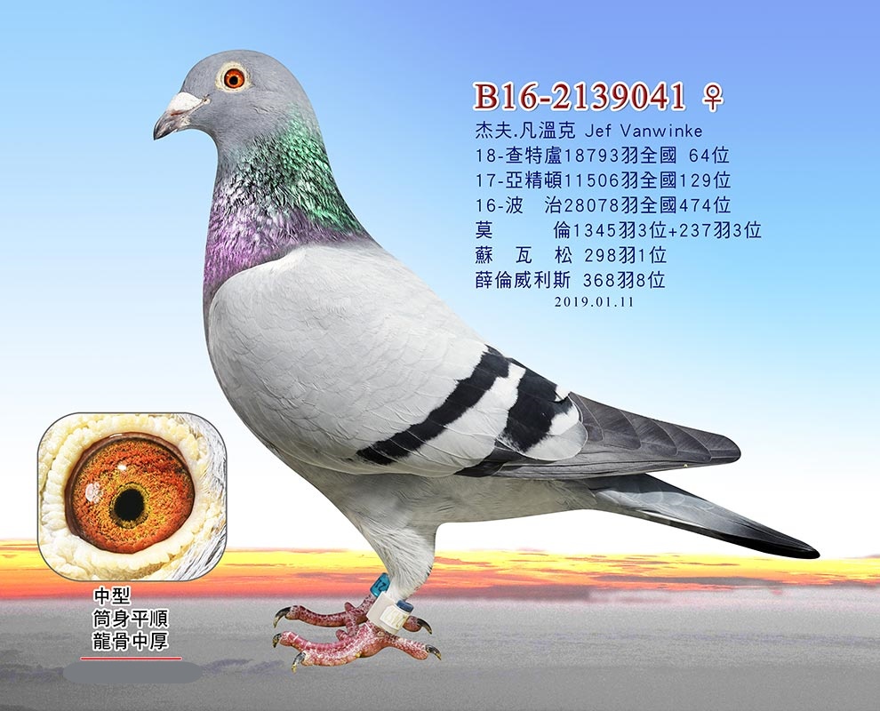WֻʺO041