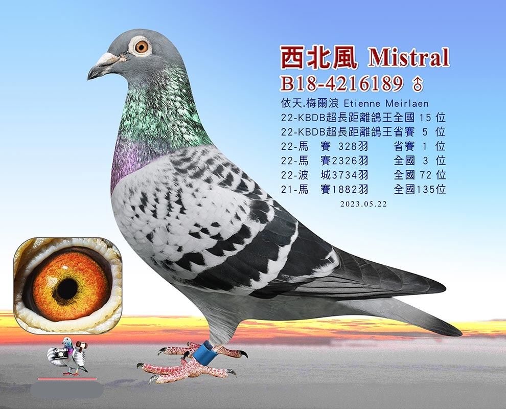 L Mistral