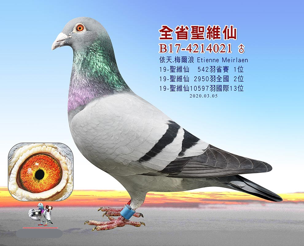 ȫʡ}S Provincial St
