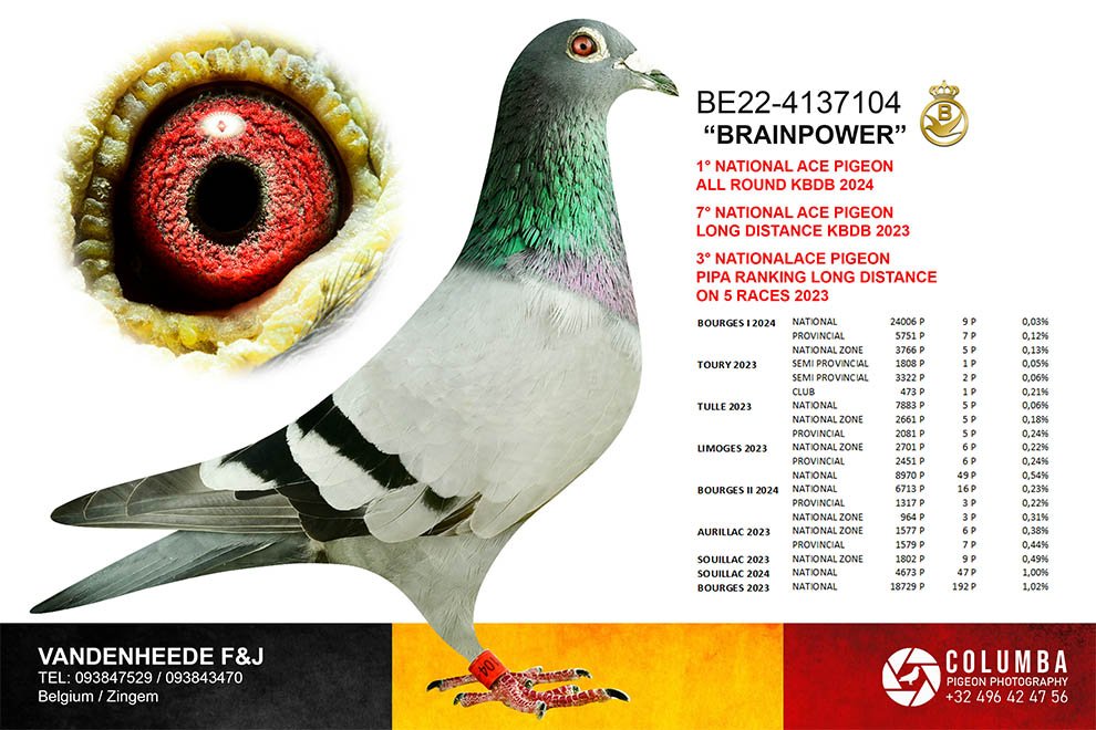 X Brainpower