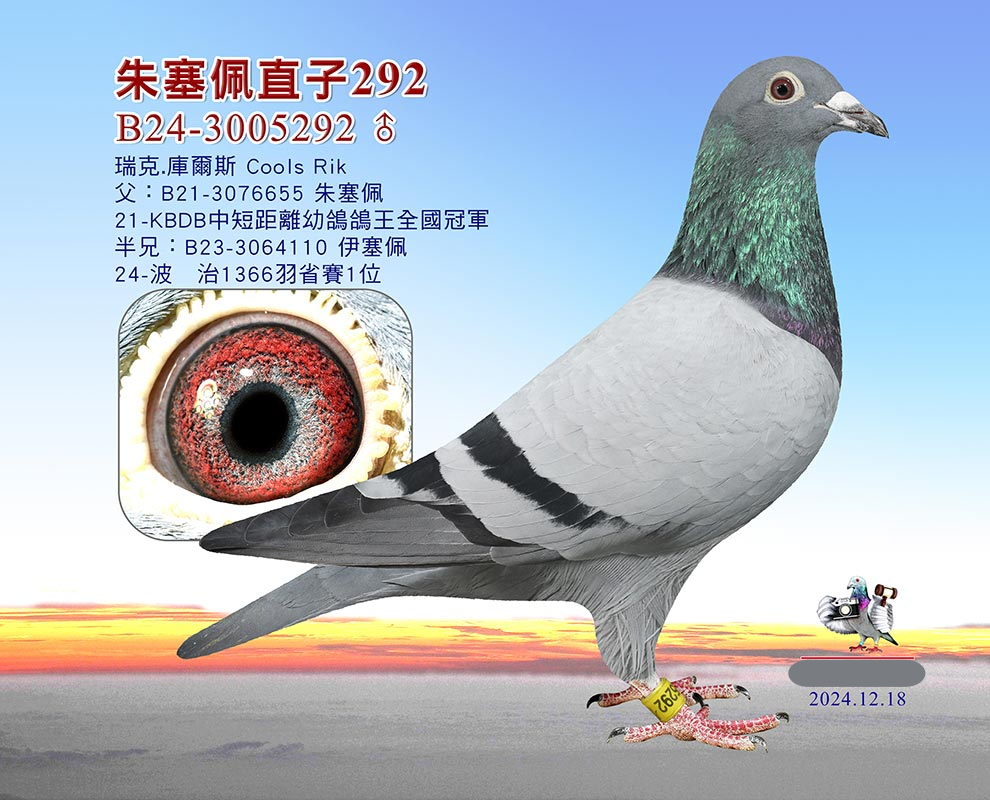 ֲʡ1λֱ