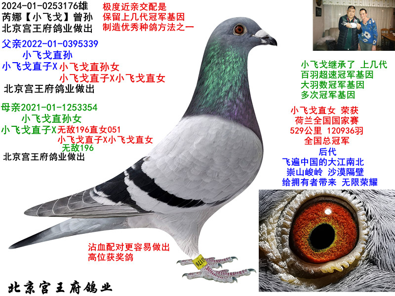 ȡСɸ꡿