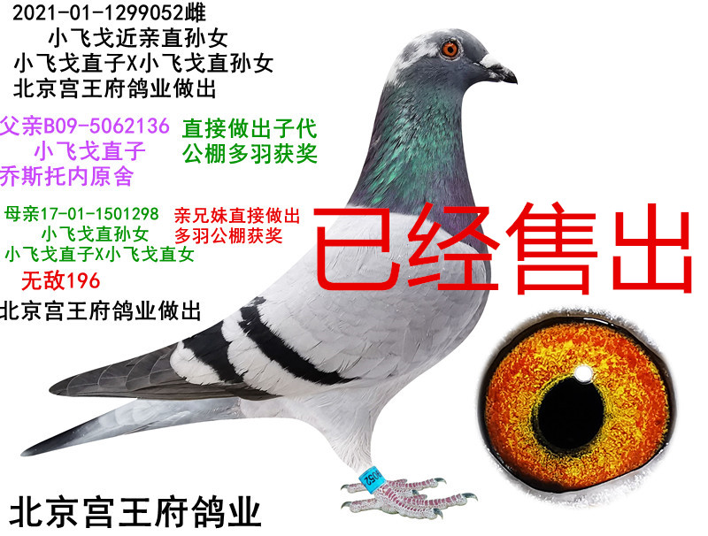 СwֱOŮ