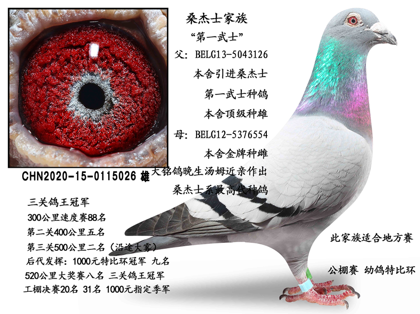 ɣʿN۵һʿ