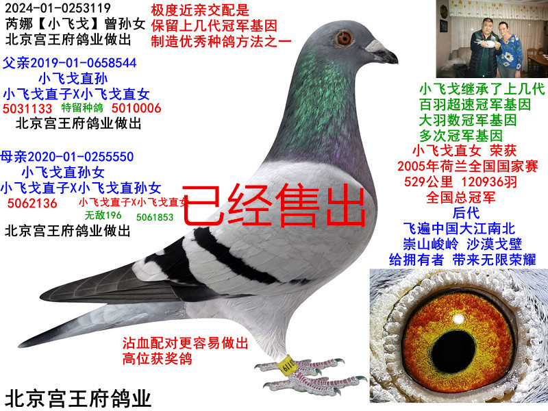 ȡСw꡿OŮ