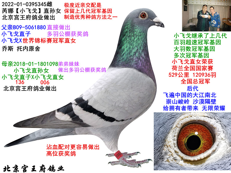 ȡСw꡿ֱOŮ
