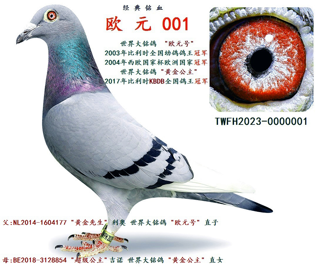 W Ԫ 001