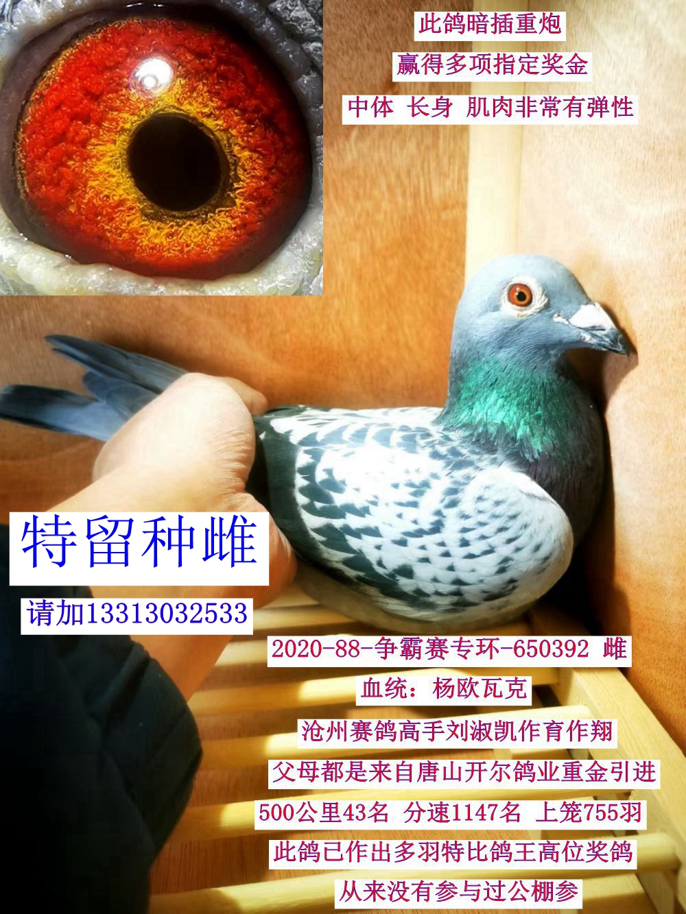 NƣW߿ˣ