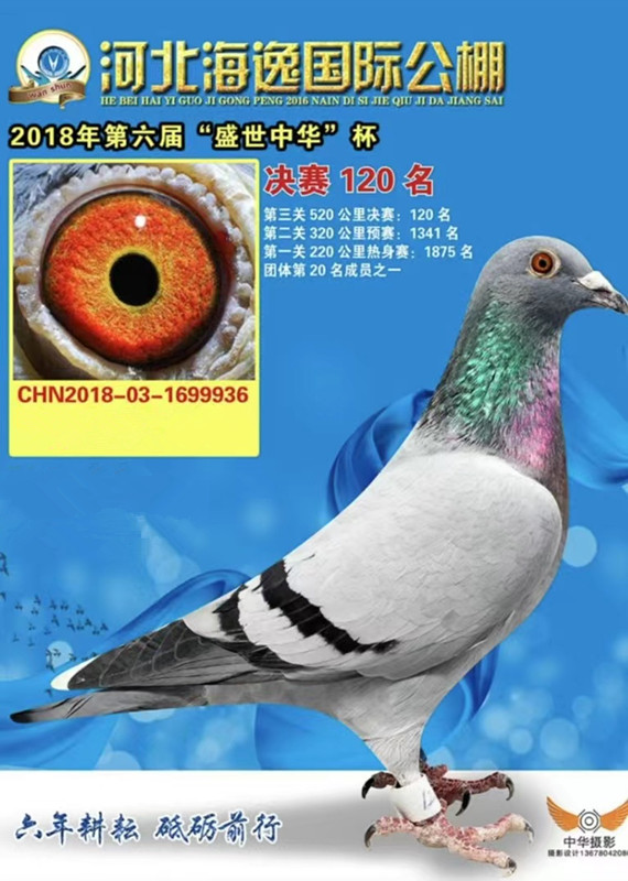 ݹQِ120