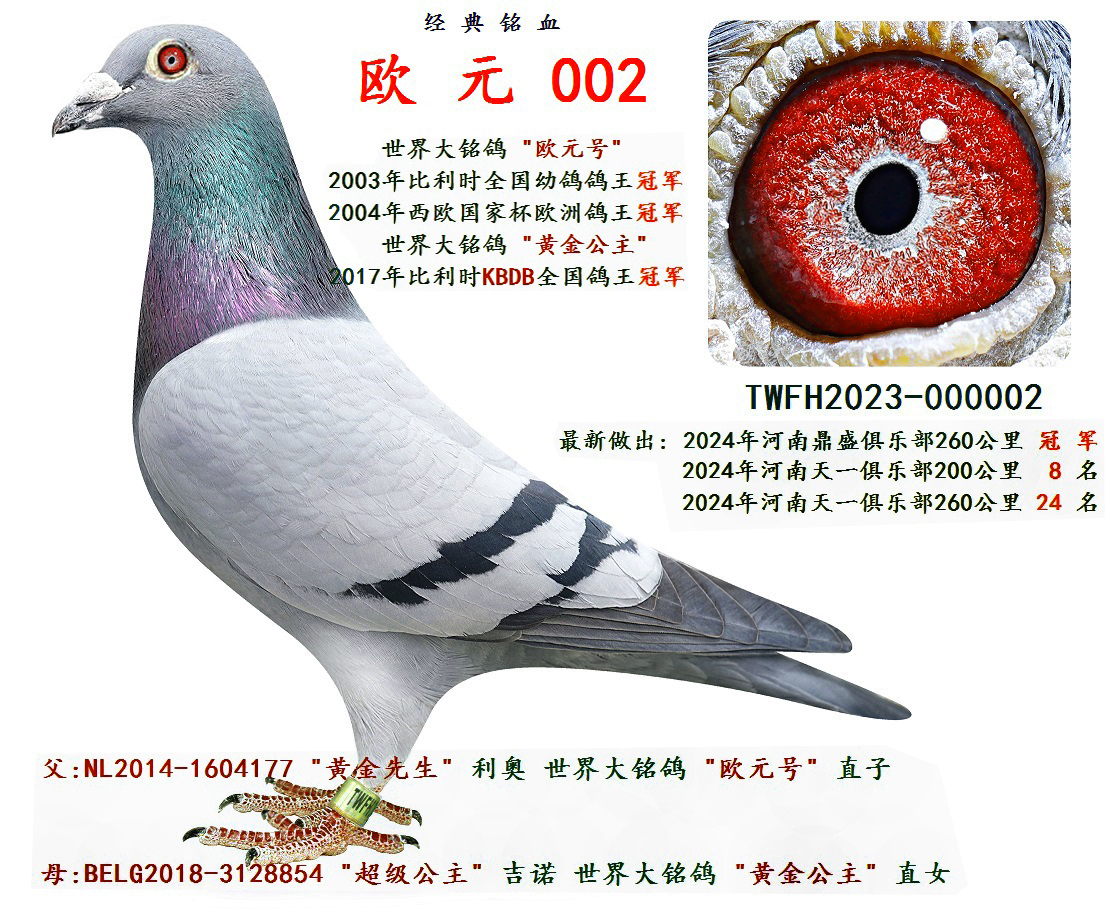 W Ԫ 002