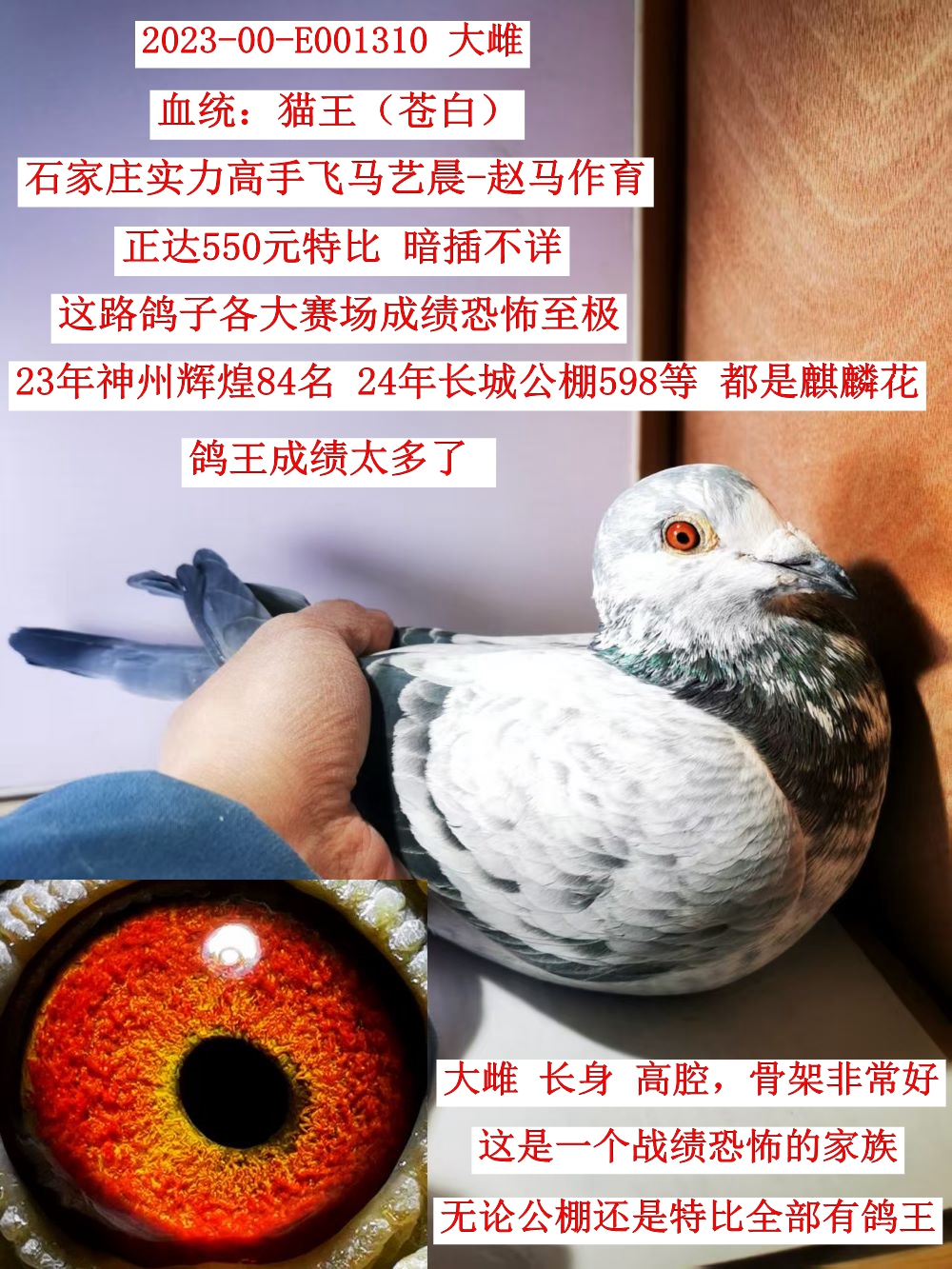 ʯfwR
