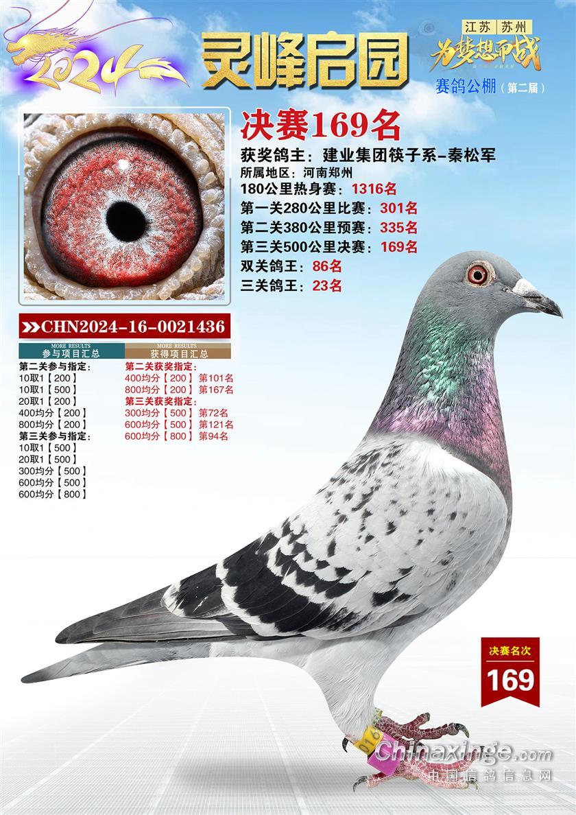 K`幫Qِ169