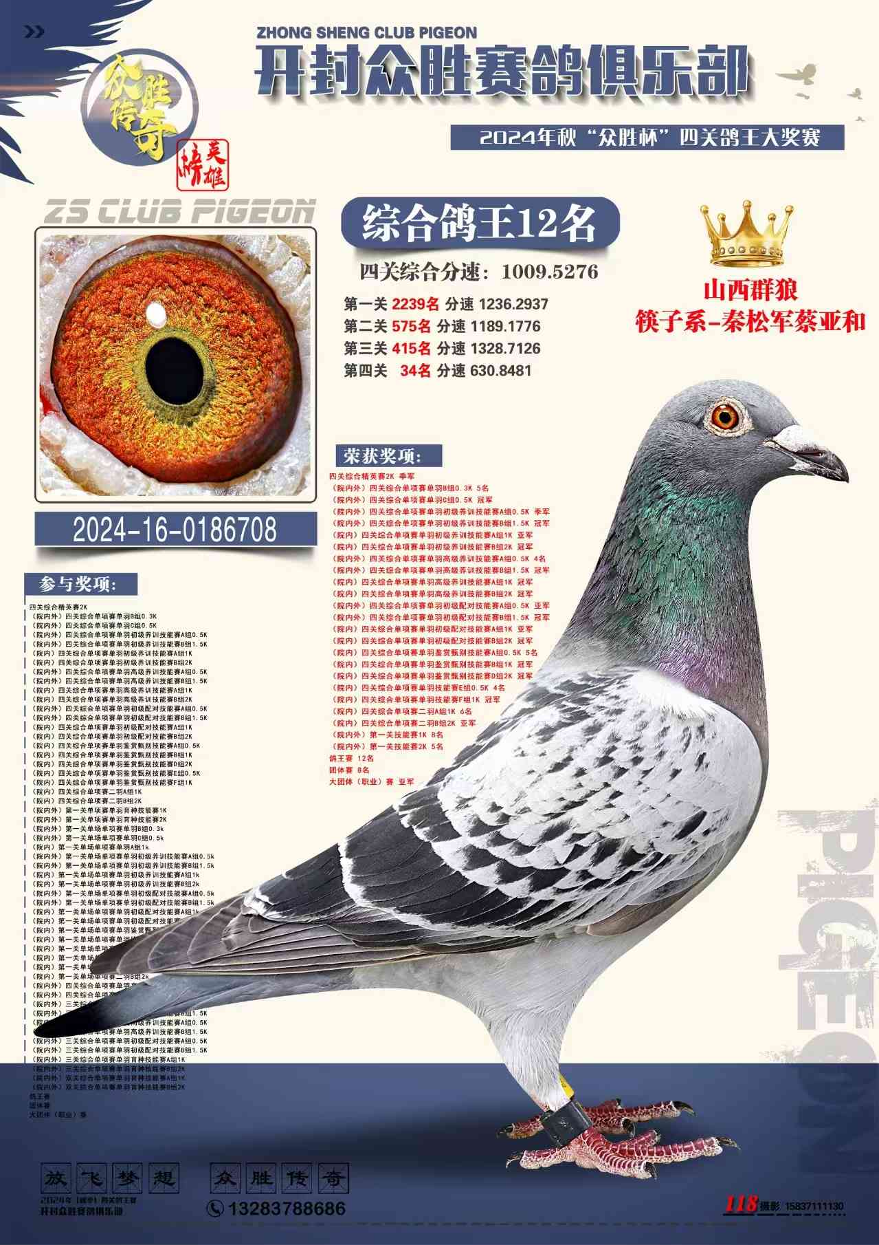 ϱټB(yng)P(gun)C12