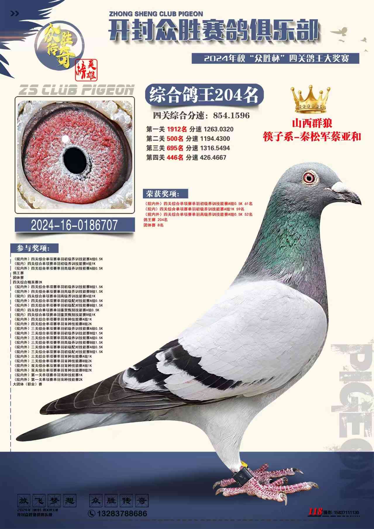 ϱټB(yng)P(gun)C204