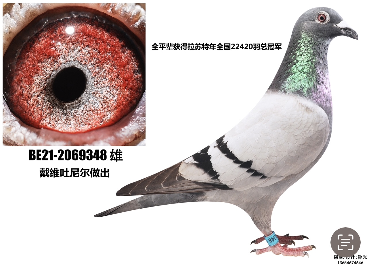 S᠖