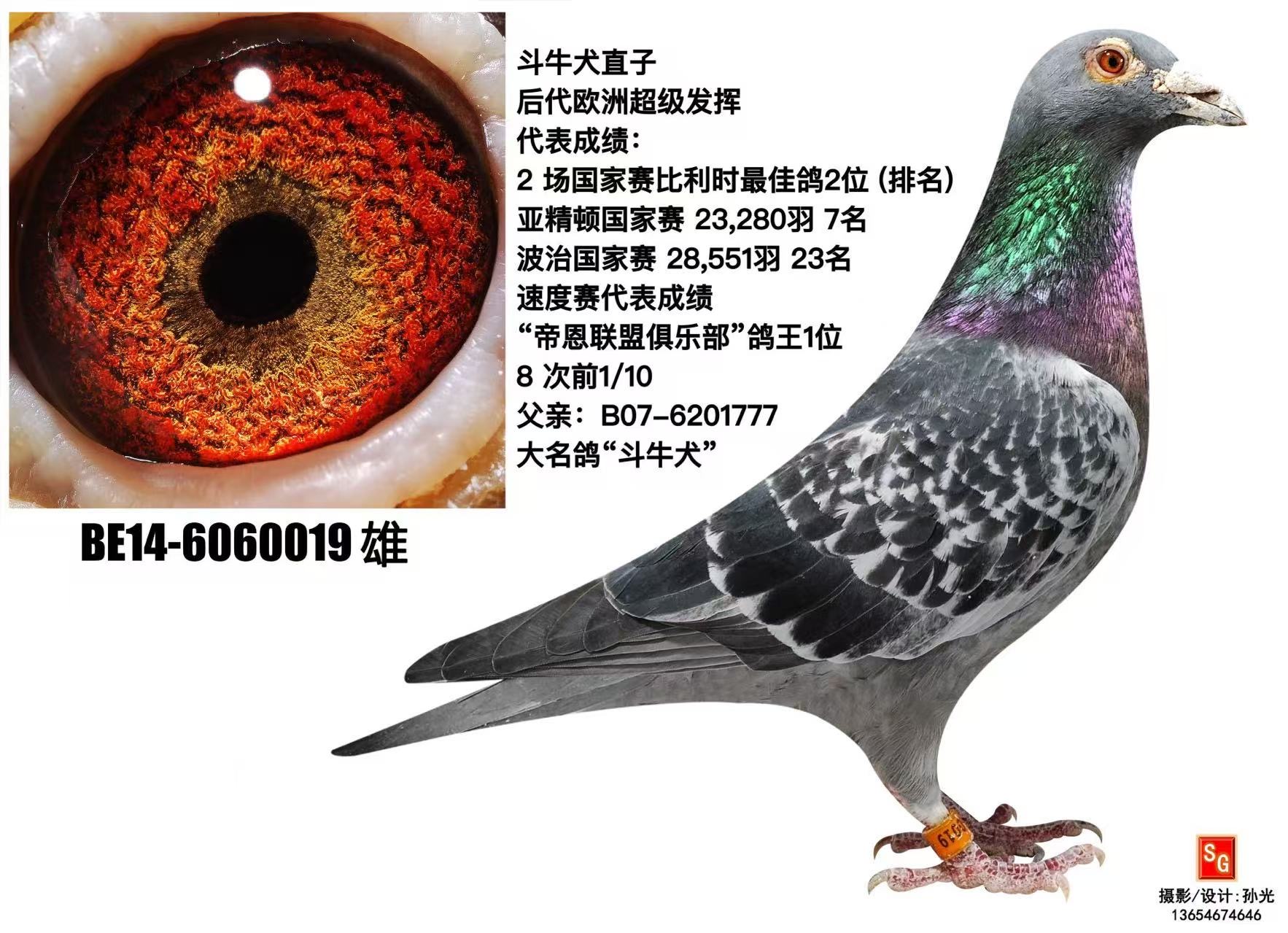 ţȮֱ