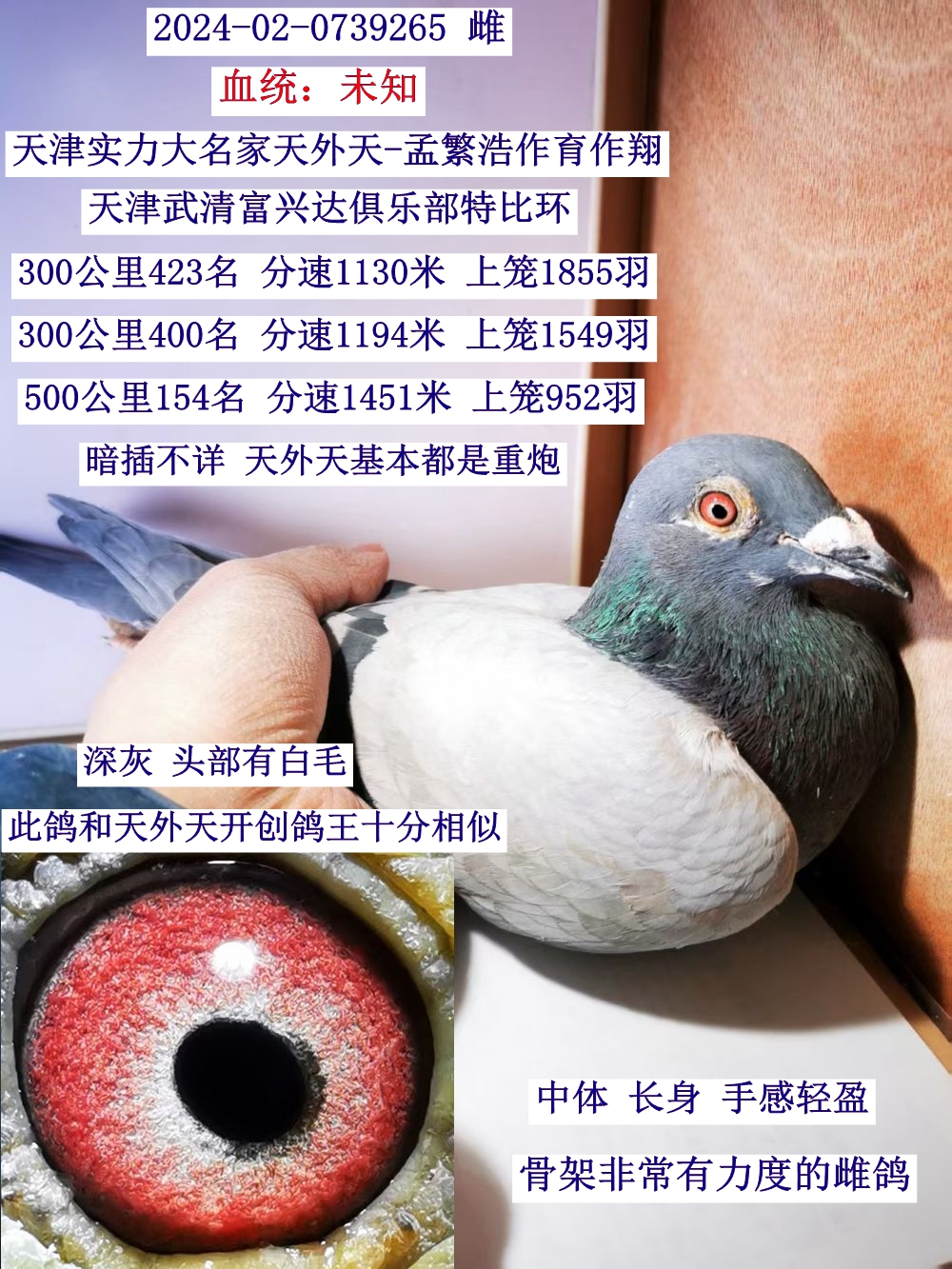 졪Ϸ