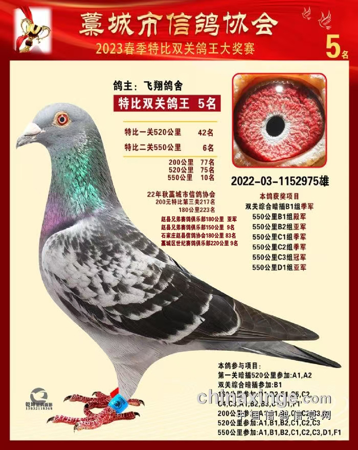 رpP(gun) 5