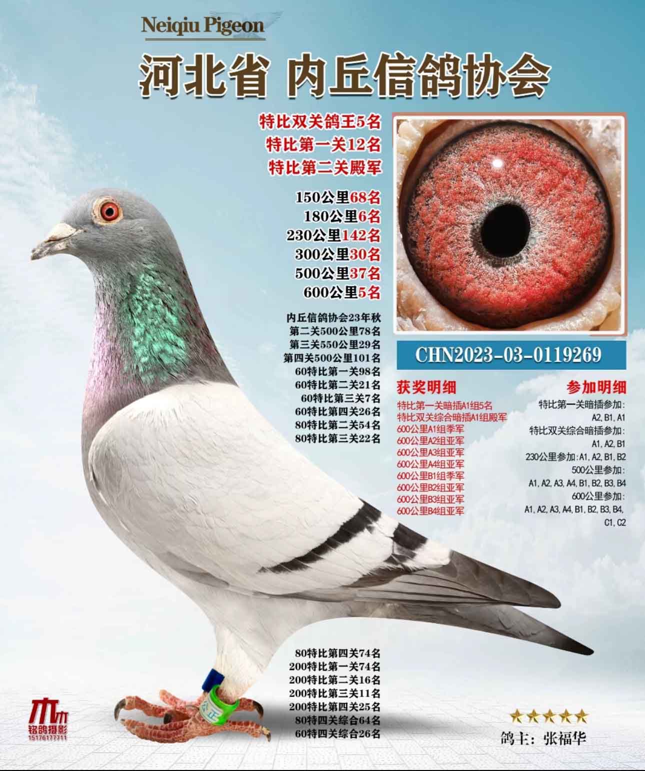 成績鴿