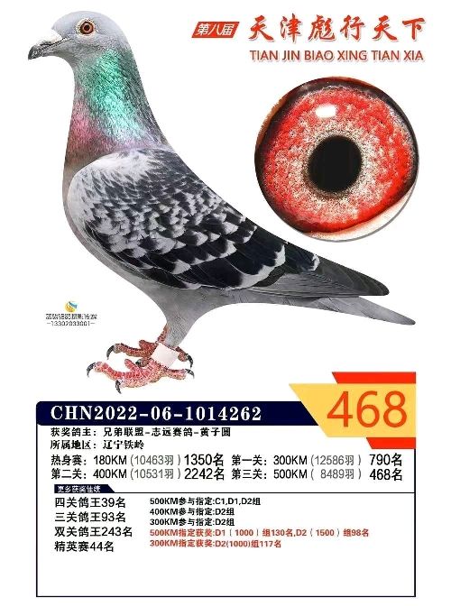 ��������468