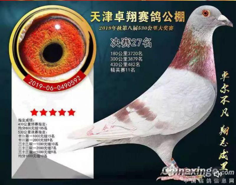 ׿蹫Qِ27