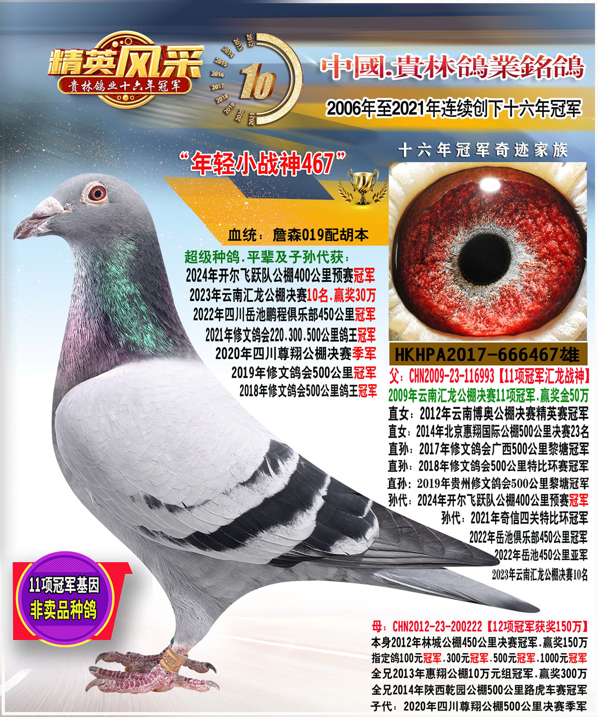 11項(xiàng)冠軍直子467