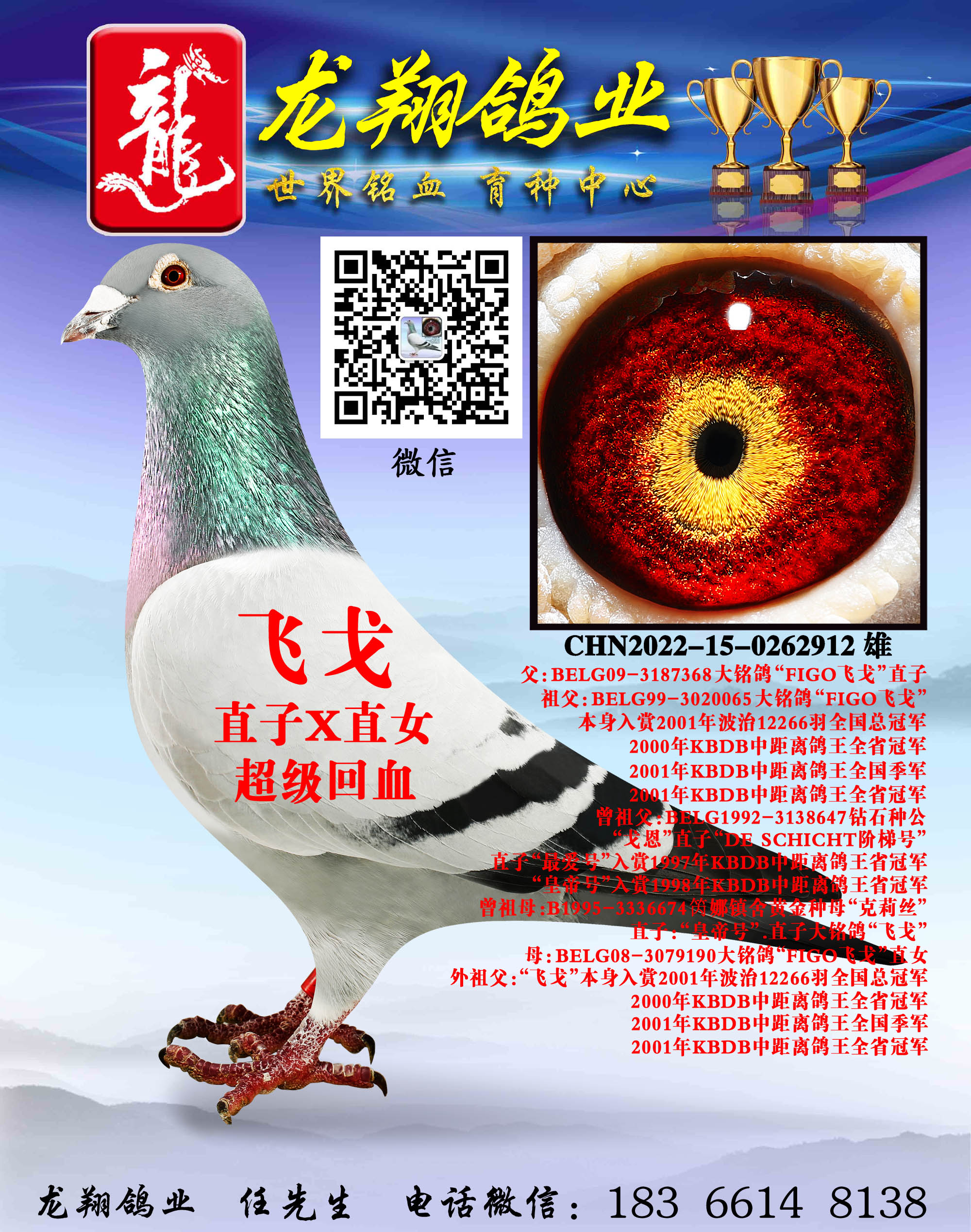 wꡱHֱO