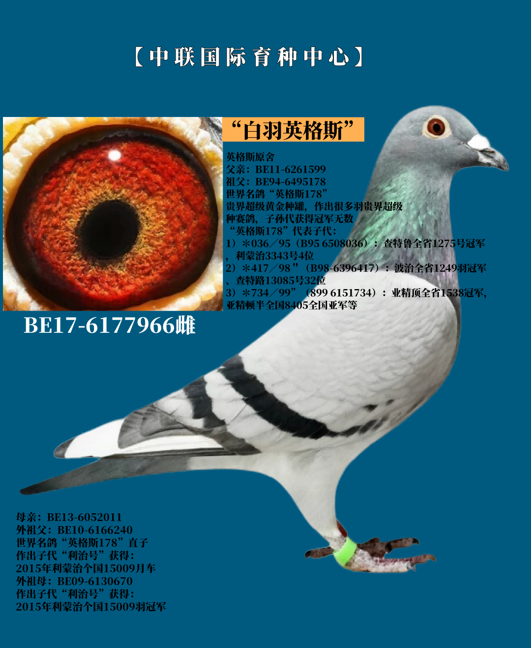 Ӣ˹178ֱX178ֱO