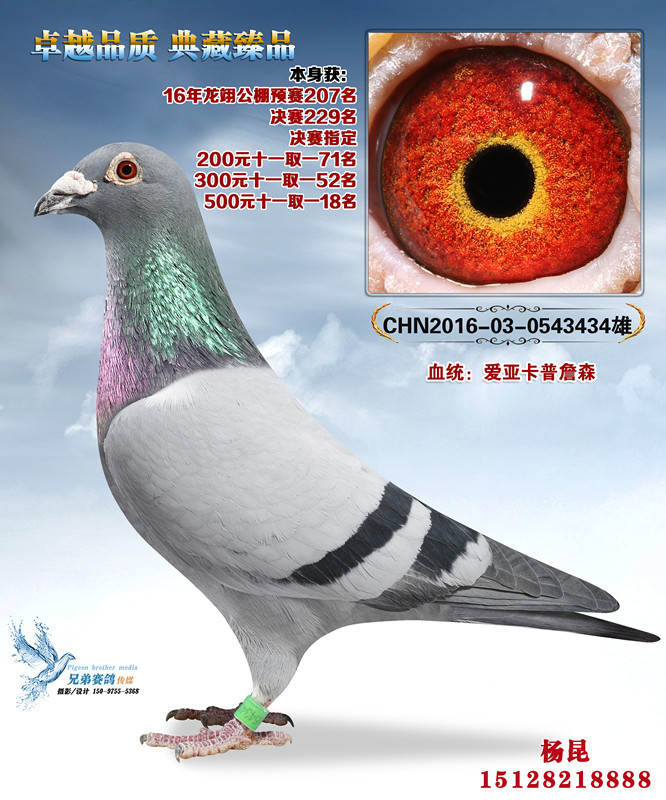 v_(d)434