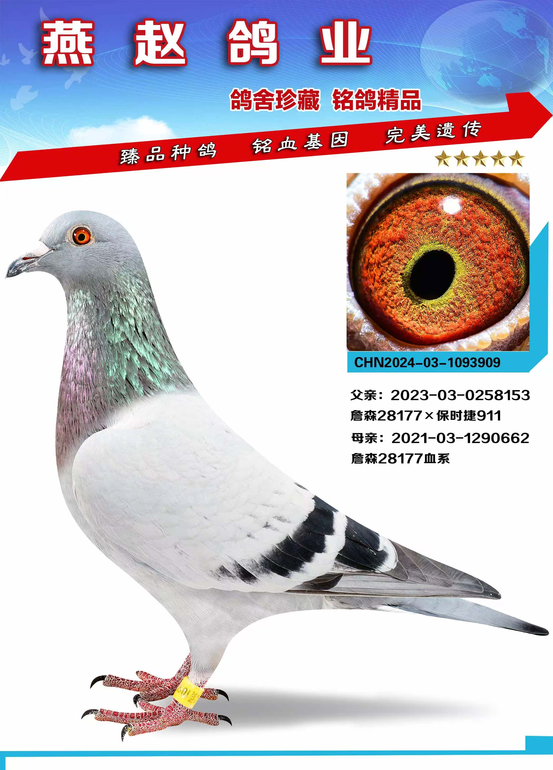 ղɭ28177Xr911Ѫϵ