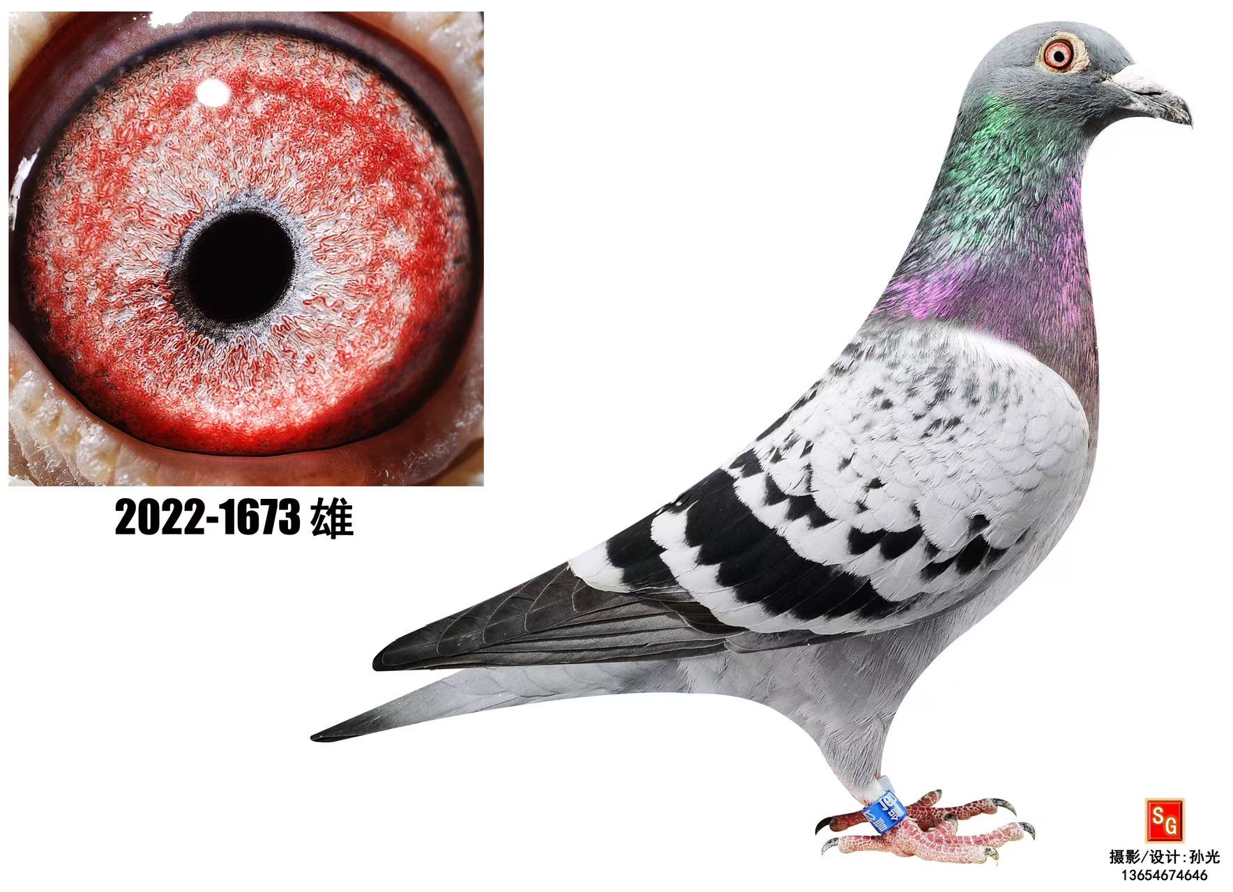 ¹O