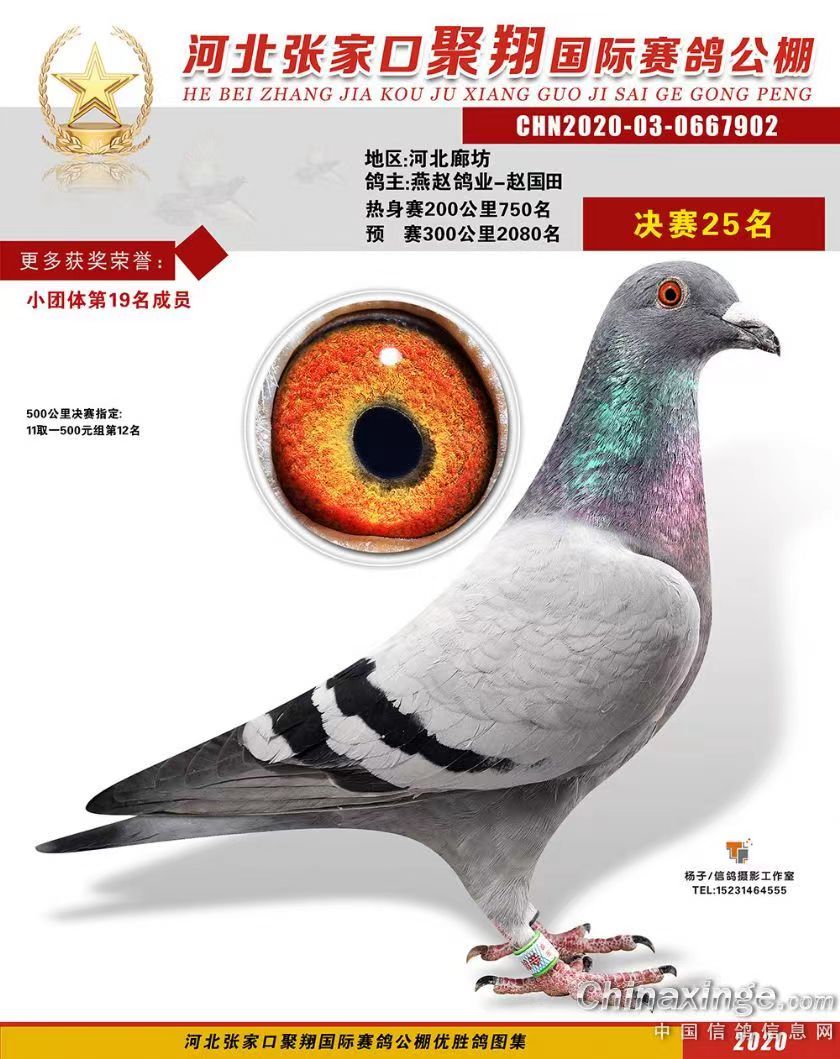 20蹫Qِ25