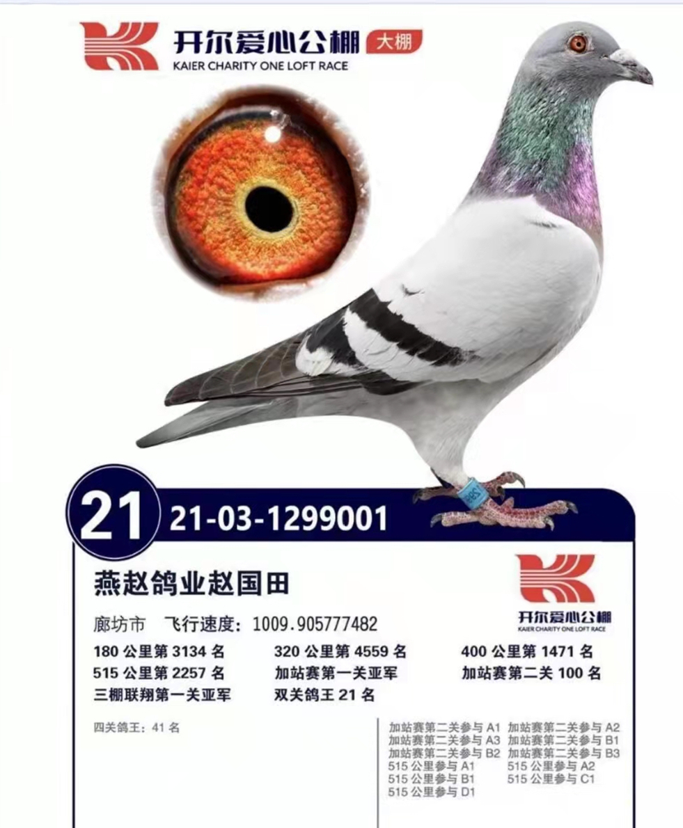 21_(ki)վِpP(gun)21