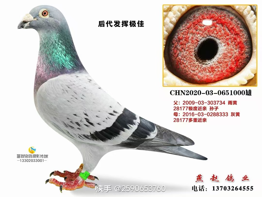 ղɭ28177OȽH