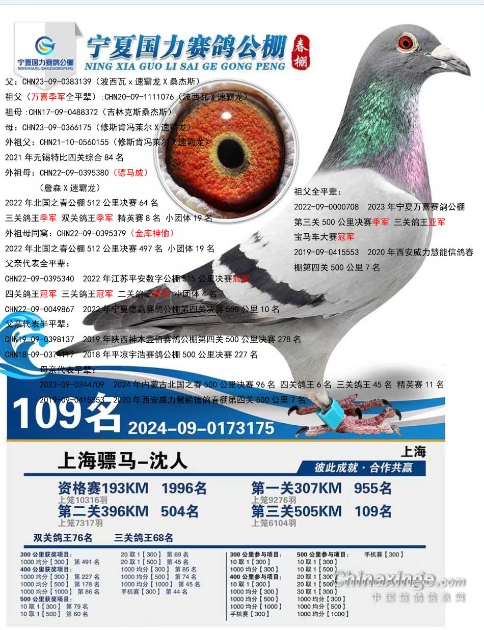 R3175