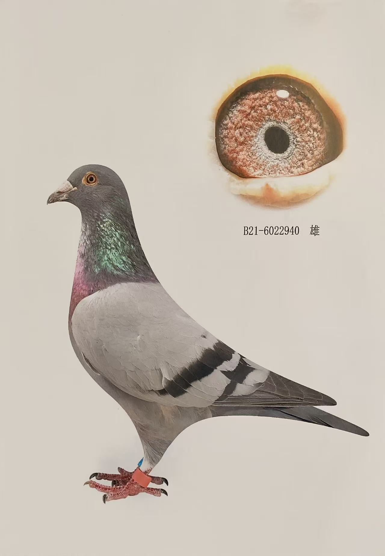 ȫʡ158245λ