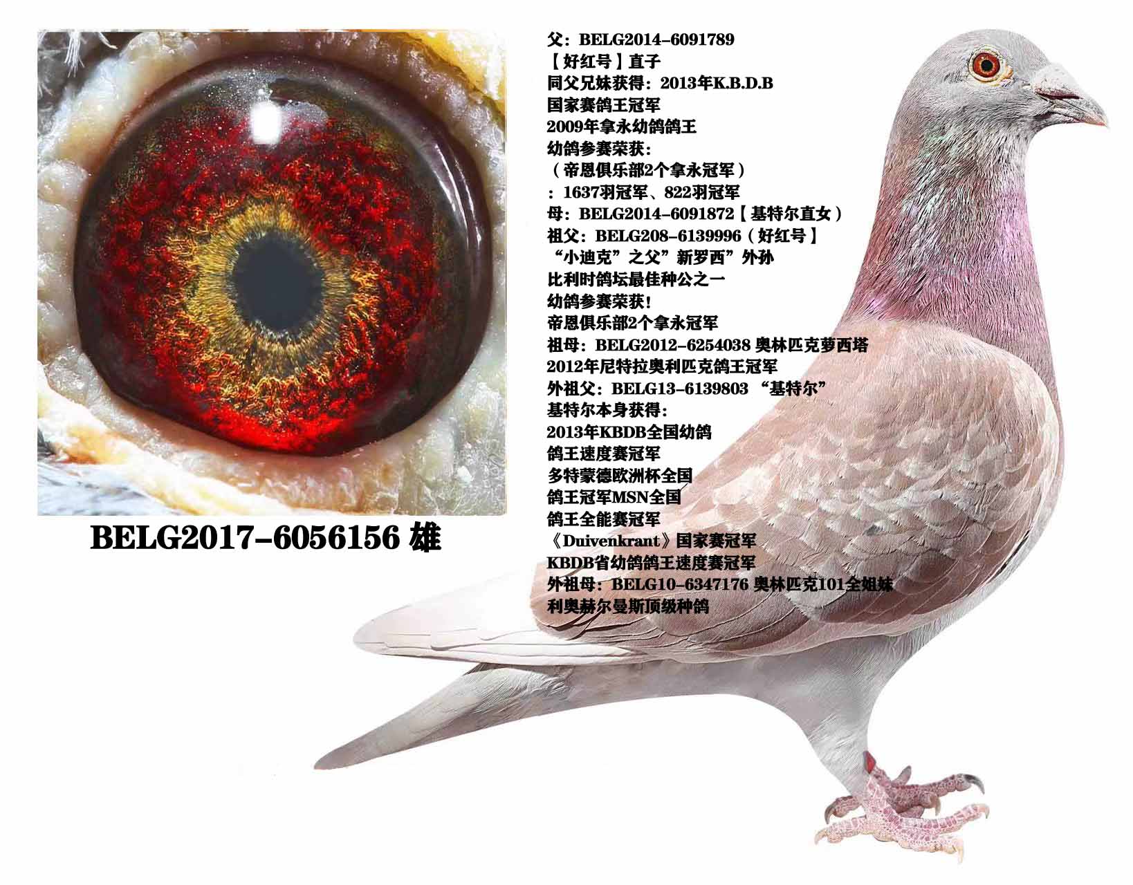 Ͽ˷ǲˡüt̖(ho)ֱO