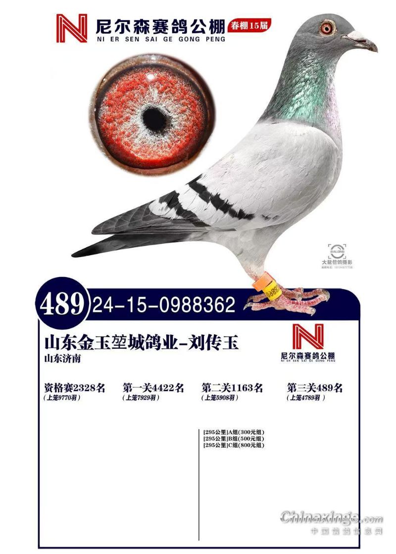 尼尔森春棚