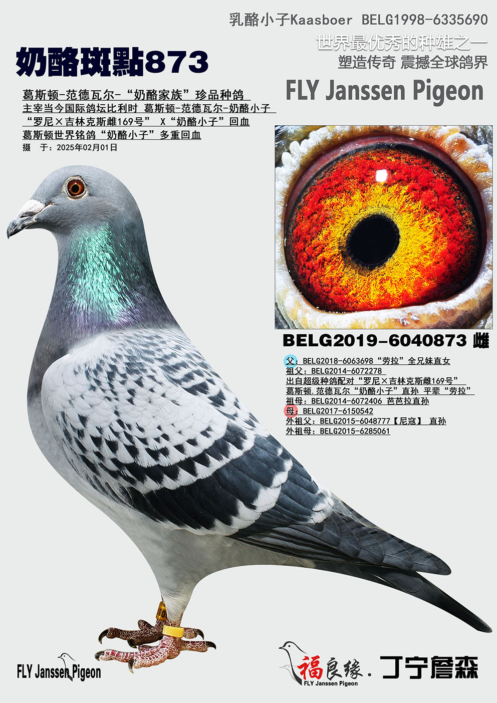 Ұc873