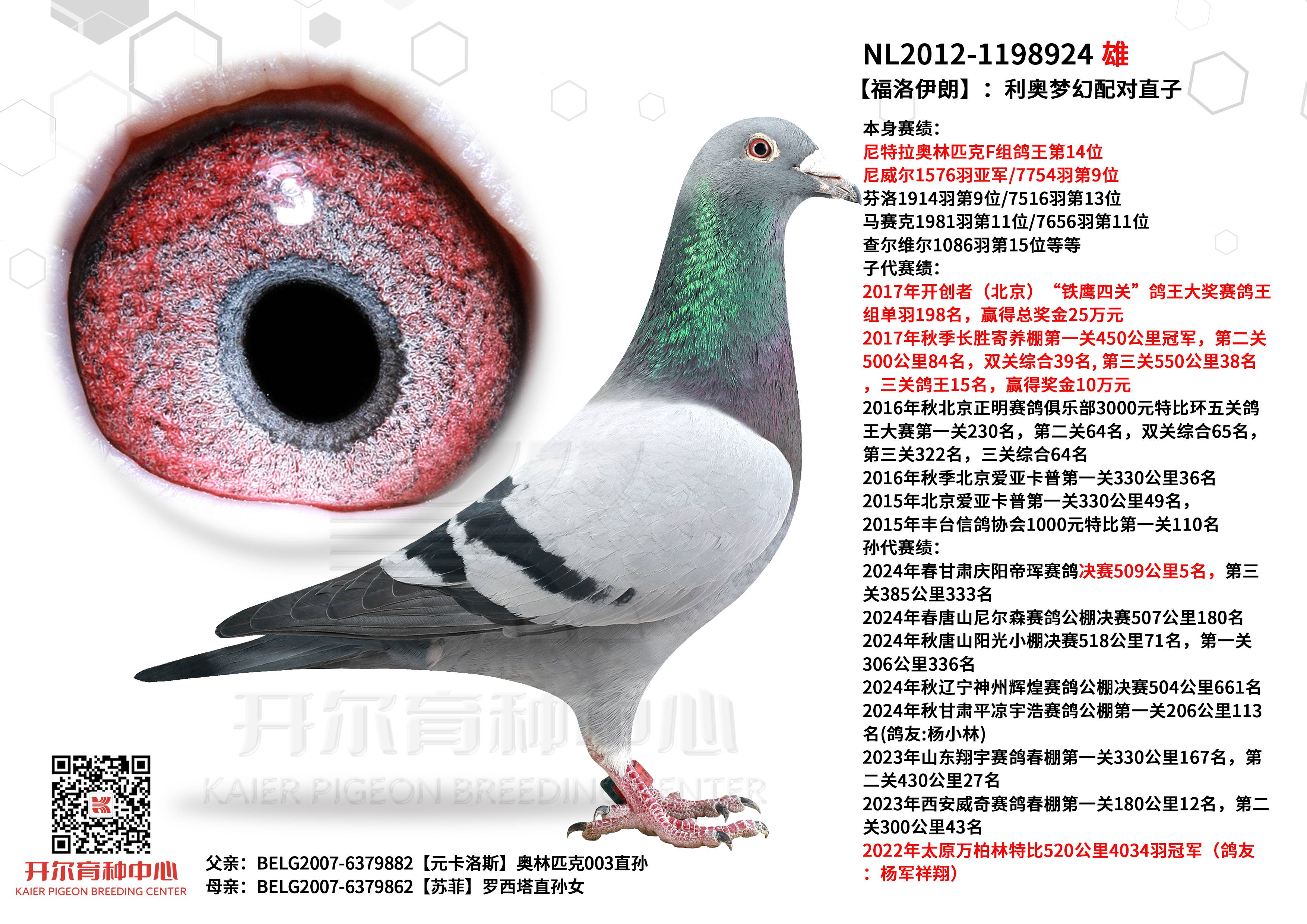 ʡW䌦ֱ