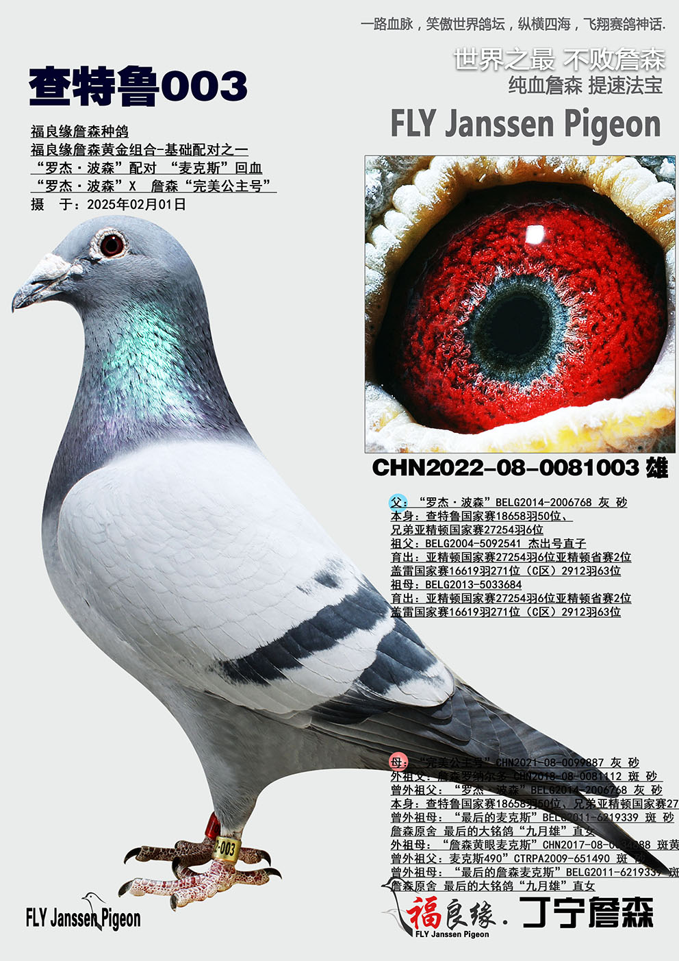 003