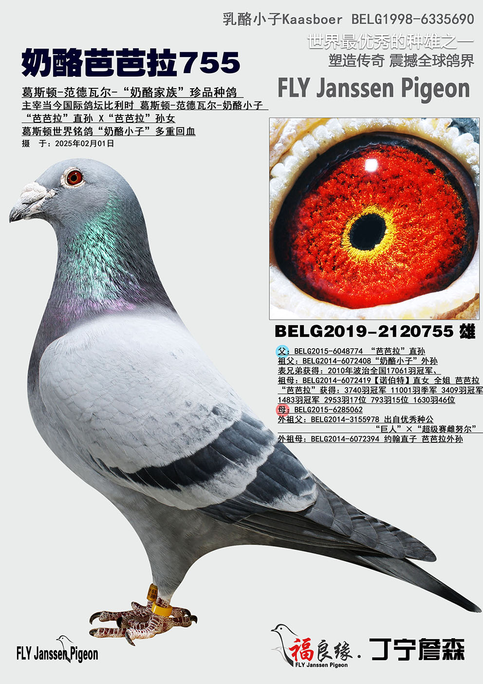 ҰŰ755