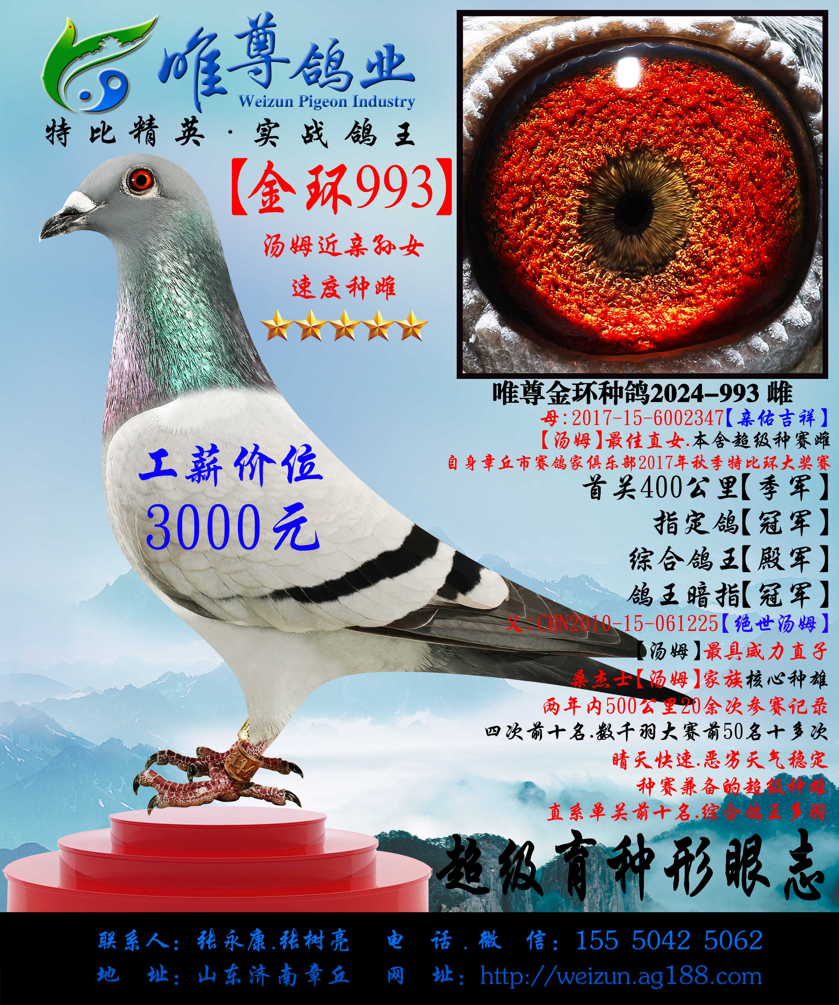 h(hun)993ýH